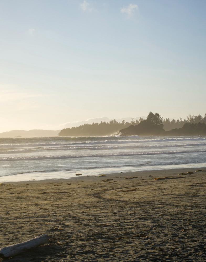 Mist over an empty morning shoreline